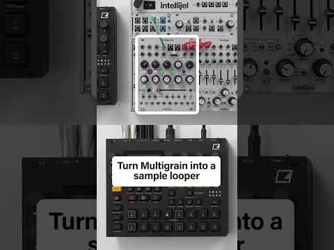 Granular loops for your beats - using Multigrain #intellijel #multigrain #loops