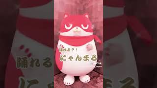 踊るにゃんまる♪ #マルハン #浮かれてます