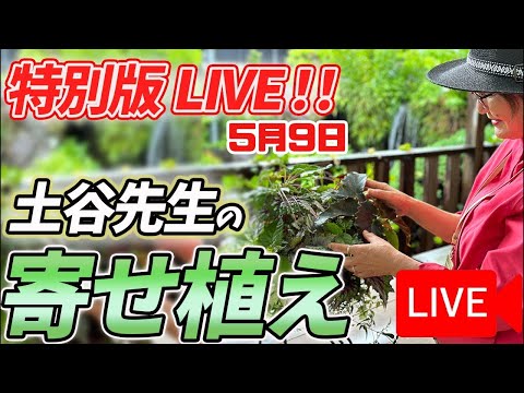 2025年5月2日土谷ますみ先生の寄せ植えLIVE