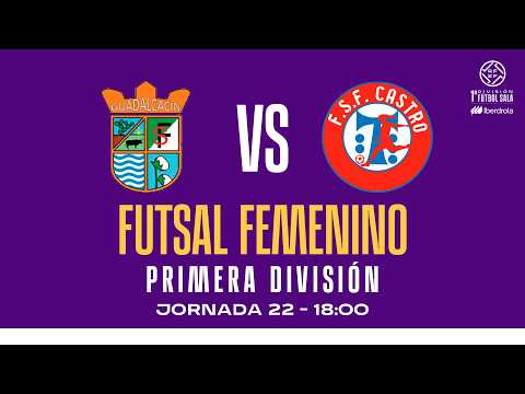 CD Guadalcacín F.S. vs F.S.F. Castro Bloques Cando | J22 - Primera Iberdrola | 25/26 | 