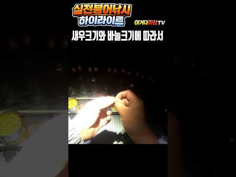 새우크기와 바늘크기에 따라서 #붕어낚시