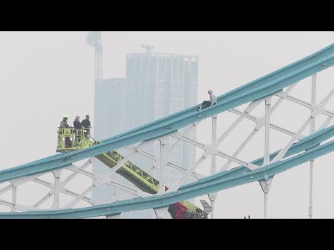 Emergency services rescue man climbing railings of London's Tower Bridge | AFP