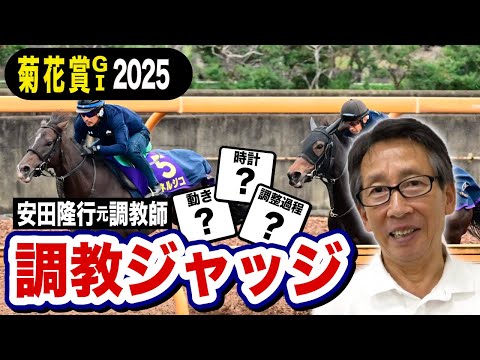 【菊花賞2025】エリキング選外!安田隆行元調教師が調教ジャッジ 「動き」「時計」「調教過程」を採点しピックアップした5頭を発表!《東スポ競馬ニュース》