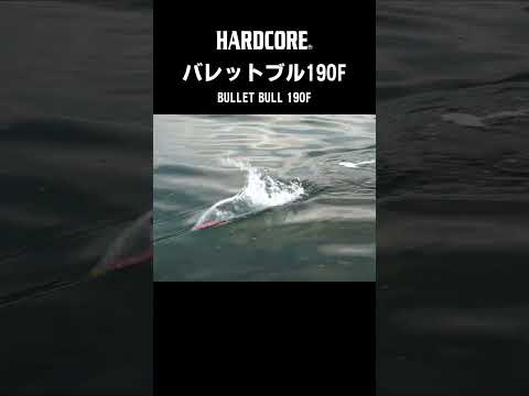 【バレットブル190F】アクション映像 #ハードコア #ポッパー #ロックショア #ヒラマサ #バレットブル