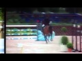 Show jumping horse Breeding mare pregnant of filou de muze for sale