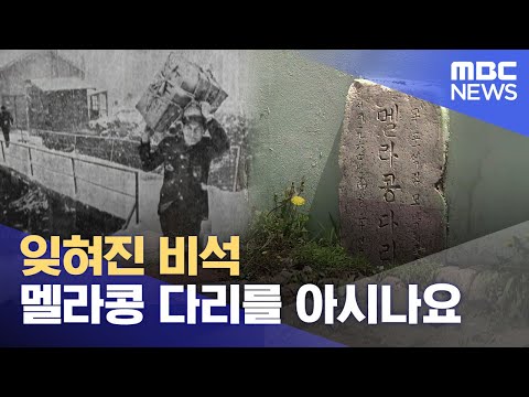 '멜라콩 다리'를 건넌 적이 있나요? (2023.06.04/뉴스데스크/목포MBC)