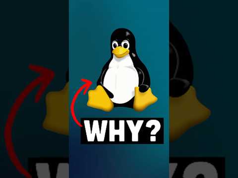 The penguin bite changed tech history... 🐧💻 #softwaredeveloper #linux #tech