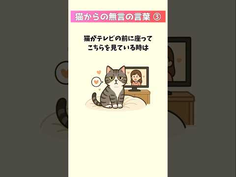 猫の仕草に隠されたメッセージ解説：意図と気持ちを理解しよう サムネイル