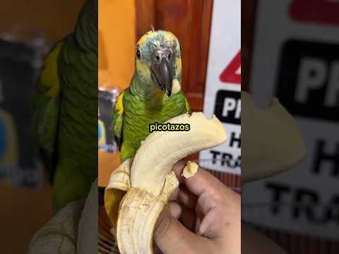 Cuánto tarda en comer ? #shorts