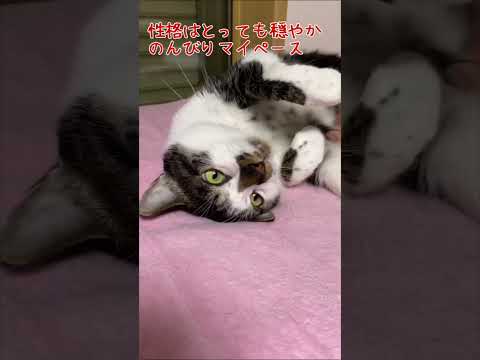 にんにく模様が可愛いノンノン