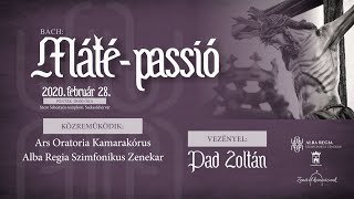 J. S. Bach: Matthäus-Passion - Ars Oratoria Kammerchor, Alba Regia Orchester, Dirigent: Pad Zoltán