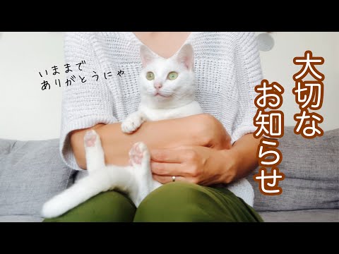 ずっと応援してくれた皆さまへ。小福から感謝を込めて