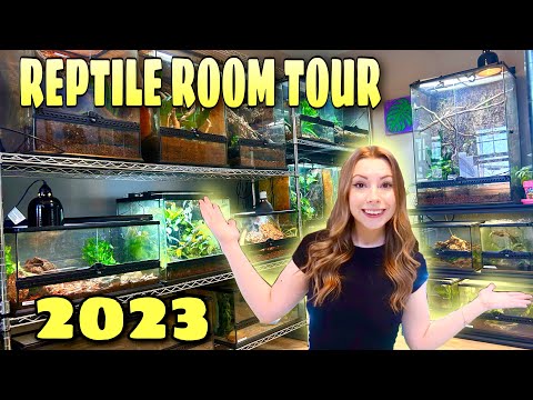 2023 REPTILE ROOM TOUR!! (Frogs, Snakes, Lizards and More!)