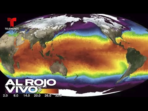 Calentamiento global sin control con nuevo récord de calor
