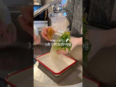 【大根レシピ】3食自炊をラクする漬物🛖🌱