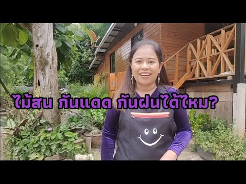 ไม้สน(ไม้พาเลท)ทนแดดทนฝนไหม ไม้สน(ไม้พาเลท)ทนแดดทนฝนไหม