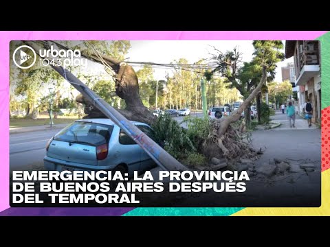 Emergencia: la provincia de Buenos Aires después del temporal #TodoPasa