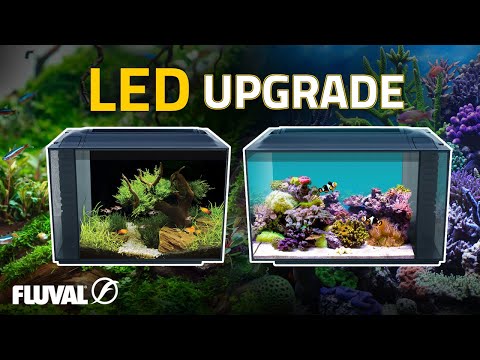 HOW TO: Upgrade a Spec 16 & Evo 13 LED