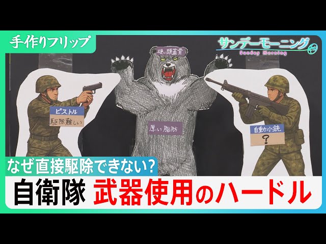 Image of Jepang Hadapi Hambatan Hukum dalam Mengerahkan Militer untuk Pengendalian Beruang