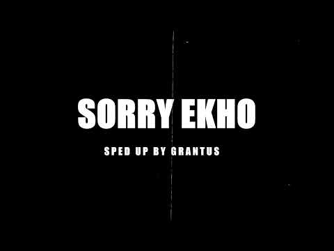 SORRY EKHO - Nimo x Lio🌹PERFECTLY SPED UP