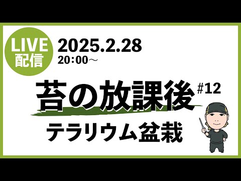 苔の放課後＃12 2025.2.28　テラリウム盆栽解説（盆栽をテラリウムで育てるコツを知ろう）