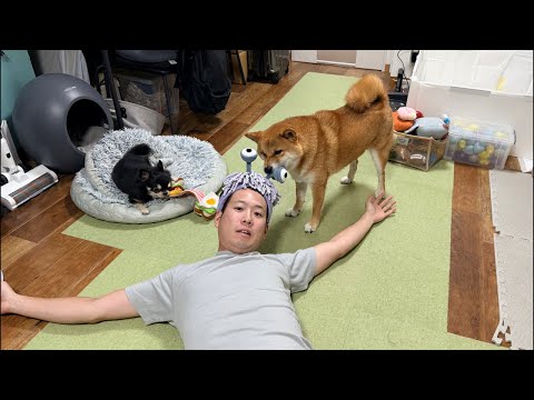 2025年11月3日配信内容の詳細解説 サムネイル