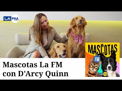 Mascotas La FM con D'Arcy Quinn