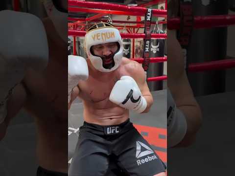 azizestet sparing jangi