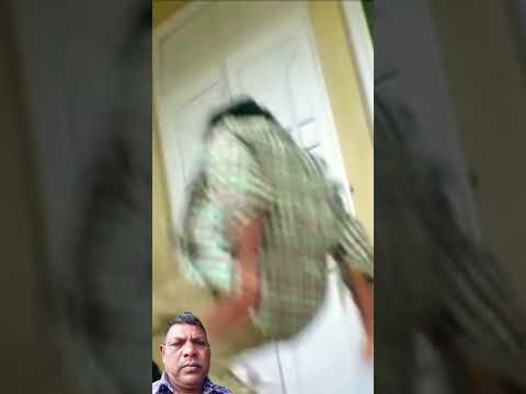 राजकुमार सुपरहिट मूवी #bollywood #movie #love #bollywoodsongs #hindi #reels #rajkumardialog