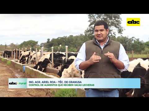 Control de alimentos que reciben vacas lecheras
