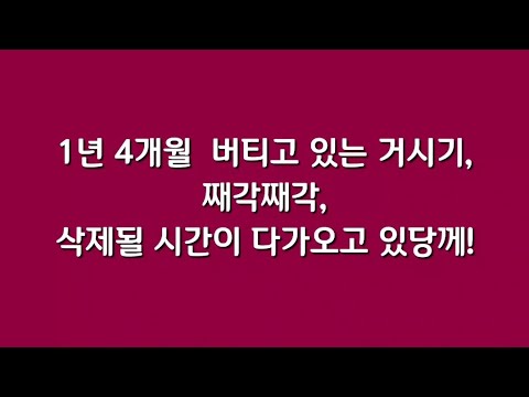 1년 4개월 버티고 있는 거시기, 째각째각 삭제될 시간이 <strong>다가오고</strong> 있당께?