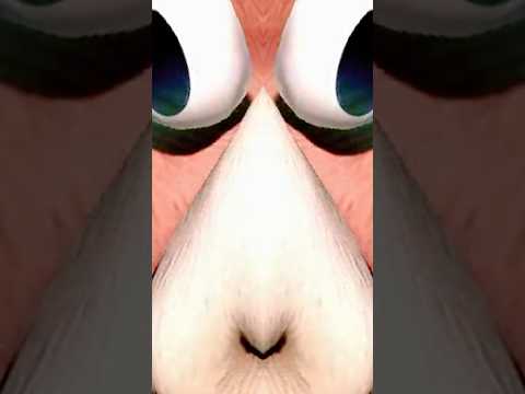 【スマブラSP】ダックハントの即死コンボがめっちゃ最強でした【ゆっくり実況】#スマブラSP #ゆっくり実況 #Shorts　#即死コンボ　#ダックハント