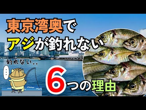 東京湾奥でアジが釣れない6つの理由【湾奥の主要釣り場の実績と釣果UPのヒントも徹底解説】