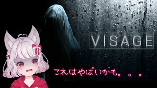 【ホラゲー～visage～】今回は進めるかも？、、、【#VTuber/＃パティアンルー/#ルーちゃん】