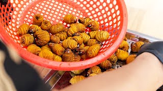 動画サムネイル