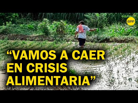 Emergencia en Perú: El país va a caer en una crisis alimentaria grave, se perdieron los cultivos