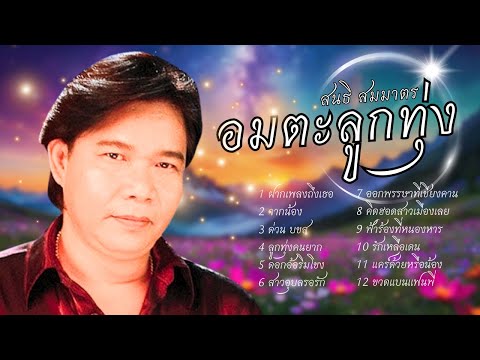 อมตะเพลงดังฟังสบาย-สนธิสมม