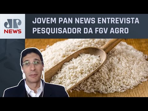 Felippe Serigati analisa decisão de entidades de entrarem na Justiça contra importação de arroz