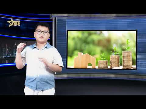 Bài cuối khóa Star 1 - Phúc An