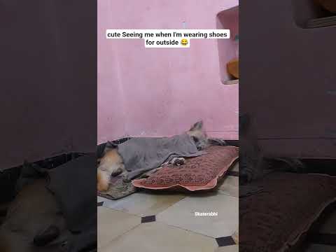 he is seeing me 🤣#please_subscribe_my_channel #viewskaisebadhaye