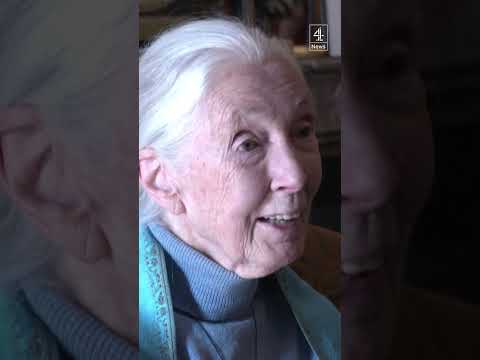 'My next great adventure at 90 is dying' - Jane Goodall
