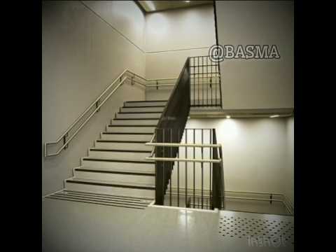 اول يوم مدرسة 👀#لايك_اشتراك #اشتركو قربنا لي 10k#مهتم بي هذا المحتوى فولو مي🎀#cat #غزاة تموت جوع 🇵🇸