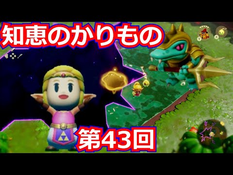 [ゼルダの伝説]知恵のかりもの 第43回/ハート池に行ってみた。