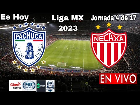 Pachuca vs. Necaxa en vivo, donde ver, a que hora juega Pachuca vs. Necaxa Liga MX 2023