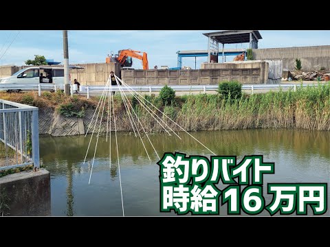 1時間で16万円！釣りから生まれた閃きの大逆転【保存版】