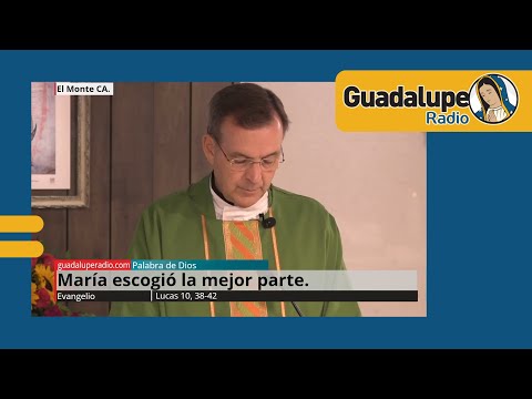 Evangelio de hoy 8/octubre/2024