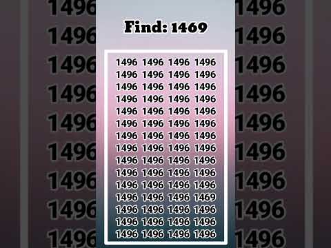 #whitelabrodorsnowhi