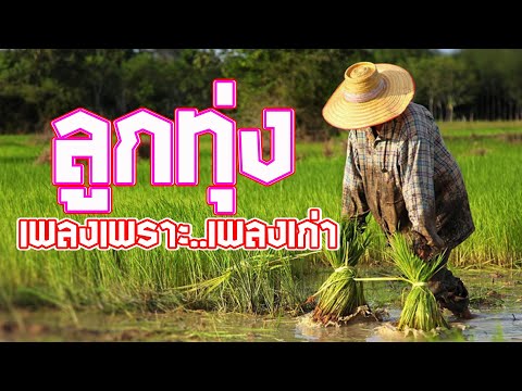 รวมเพลงลูกทุ่งฟังเพราะๆ รวมเพลงลูกทุ่งฟังเพราะๆ