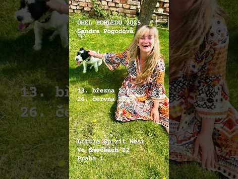 ÚHEL POHLEDU 2025 • SANDRA POGODOVÁ • 13.3. & 26.6. 2025 #uhelpohledu #sandrapogodova