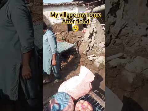 My Home after flood 😢#flood #home #shortvideo #shorts #short #shortsfeed #support #help #flooding